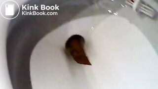 a toilet turd