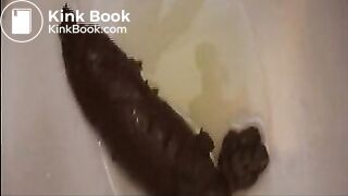 toilet scat