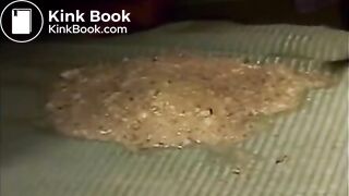 jap chick shits huge turds and vomit at same time