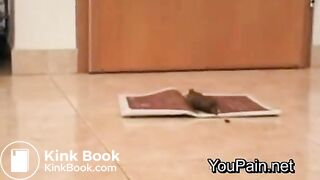 Pervert Girl Shitting on Magazine