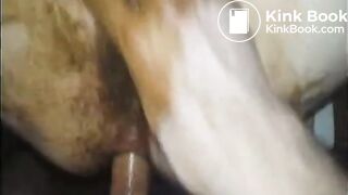 Scat couple - video 19