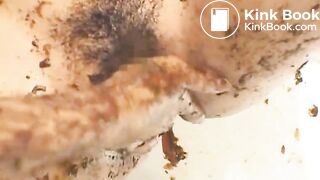 Shit-eating japanese cuties wallowing in filth