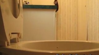 shit collection bbw shit 15