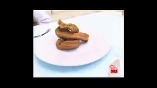 Shit collection what to feed your bitch 6