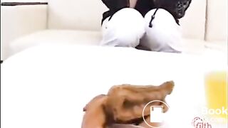 Shit collection what to feed your bitch 6