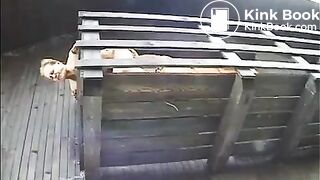 Scat freaks take their activities out of doors