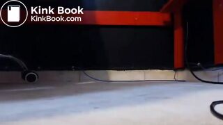 Blondie Latina Pee&Poo