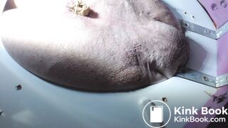 dumping metal baslls