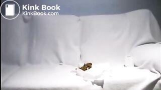 Teen shits on her bed