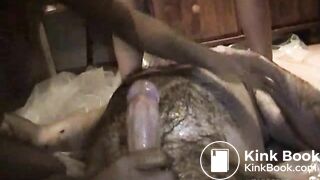 Human Toilet with Honey Bee