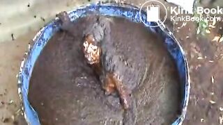 Frau wird ins Güllefass geworfen