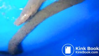 amateur records herself shitting