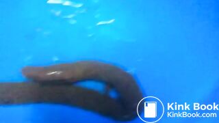 amateur records herself shitting