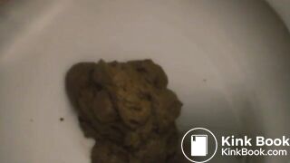 Women shitting on toilet