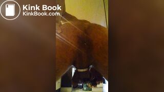 explosive shit rosebud in kitchen