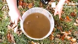 ultimate piss and shit eating