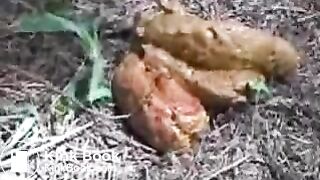 Amazons produce their jungle poo