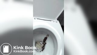 Backwards Toliet Dump