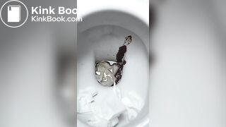 Backwards Toliet Dump