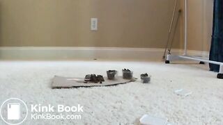 girl fill pooping lunch boxes