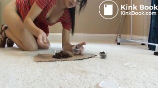 girl fill pooping lunch boxes