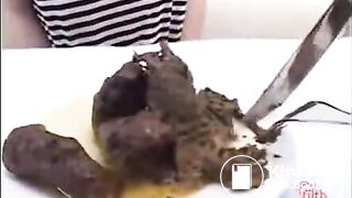 Shit collection what feed your bitch 3