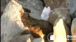 Lara Croft - Tomb Ryder