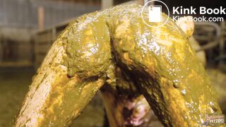 Maria Anjel Delightful Moment In Cowshit out now!