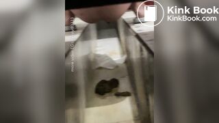 Beautiful woman poops in the toilet 2