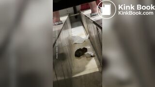 Beautiful woman poops in the toilet 2