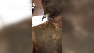 Full of shit outside of my apartment