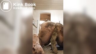 Ass fucking fun