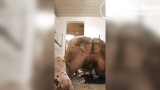 Ass fucking fun