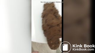 Huge Urgent poop on toilet lid