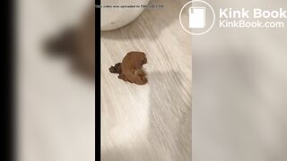Huge Urgent poop on toilet lid