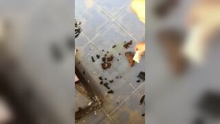 GERMAN GIRL POOPING IN AN ABANDONED BUILDING