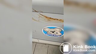 Public bathroom scat vandalism