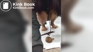 Cute girl pooping - video 46