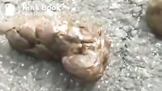 Public Asian poop