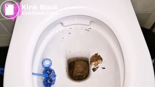 Painful constipation huge log