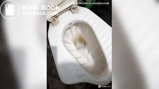 Desi aunty scat in toilet