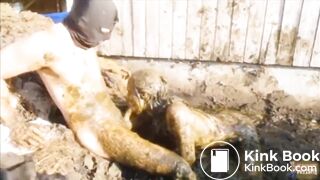 Manure Fun