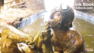 Manure Fun