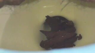 Oops! All Diarrhea Day