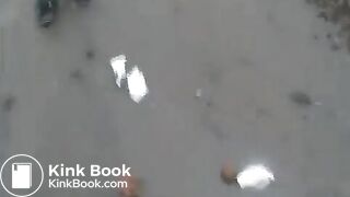 Dupla para na estrada pra fazer cocô