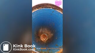 Shitting in public toilet in India!