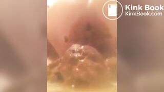 Asian scat