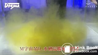 Jap scat 2 - video 3