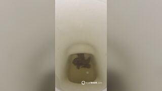 Girl pooping on toilet - video 398