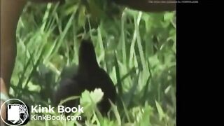 girl pissing and pooping outdoor - video 2